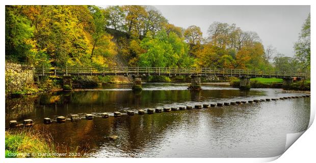 Stepping Stones and bridge Bolton Abbey Print by Diana Mower