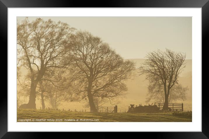 Misty Morning Framed Mounted Print by Heather Athey