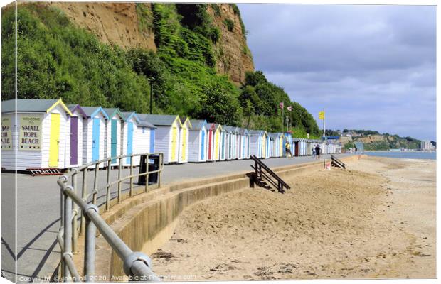 Small Hope beach at Shanklin on the Isle of Wight. Canvas Print by john hill