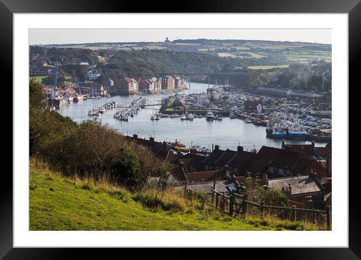 Whitby Marina full of boats Framed Mounted Print by Jason Wells