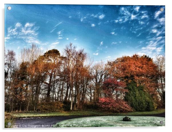 The Autumn Colours of Kingencleugh Acrylic by Cris Thompson-Brooks
