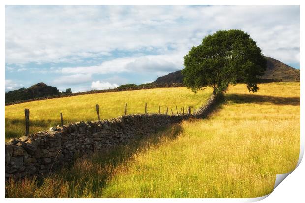 A view of summers past Print by Rory Trappe