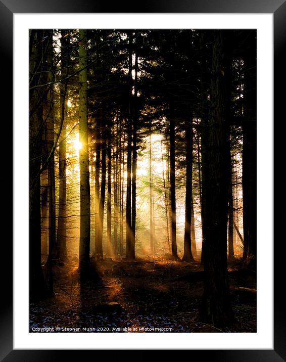 Dawn Light, New Forest National Park Framed Mounted Print by Stephen Munn