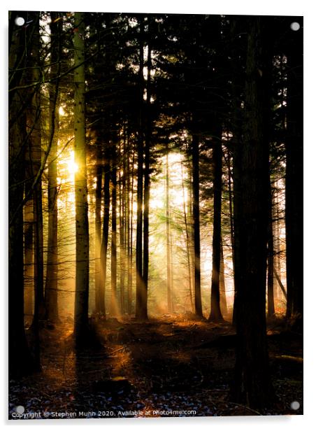 Dawn Light, New Forest National Park Acrylic by Stephen Munn