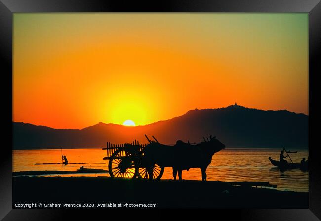 Bullock cart at sunset on the Irrawaddy River, Old Framed Print by Graham Prentice