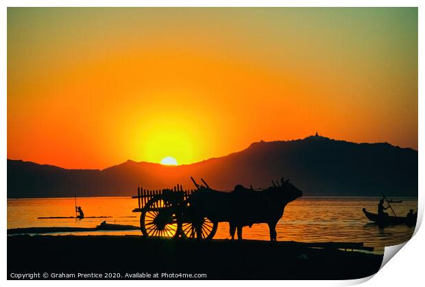 Bullock cart at sunset on the Irrawaddy River, Old Print by Graham Prentice