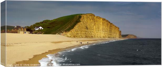 East Cliff and Bridport sands Canvas Print by Chris Drabble