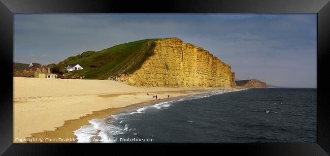 East Cliff and Bridport sands Framed Print by Chris Drabble