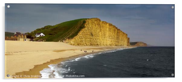 East Cliff and Bridport sands Acrylic by Chris Drabble