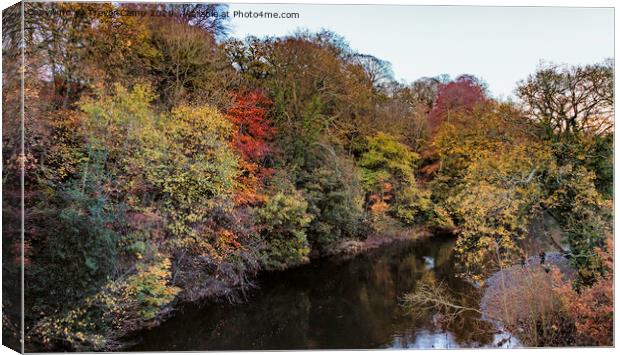 River Aire at Dowley Gap Canvas Print by Trevor Camp