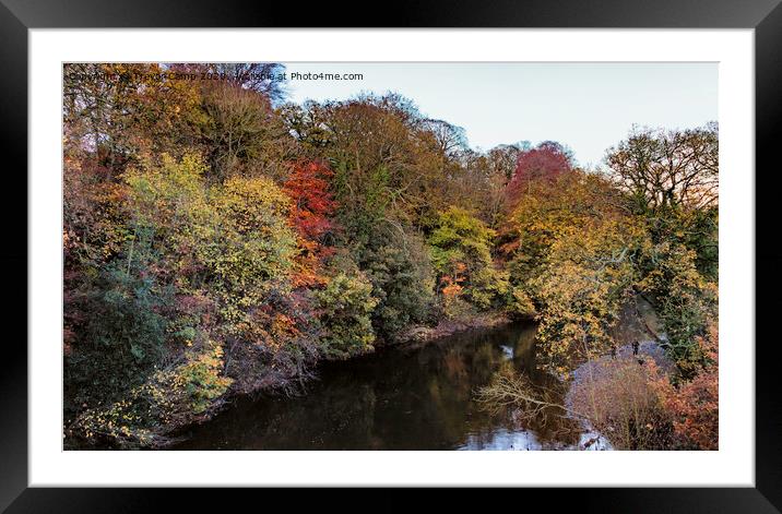 River Aire at Dowley Gap Framed Mounted Print by Trevor Camp