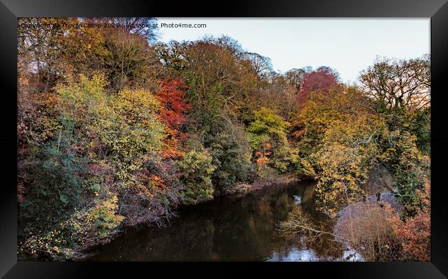 River Aire at Dowley Gap Framed Print by Trevor Camp