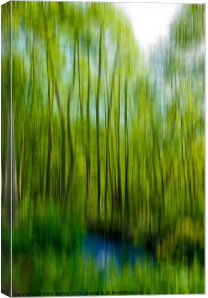 Abstract  Canvas Print by Peter Bolton