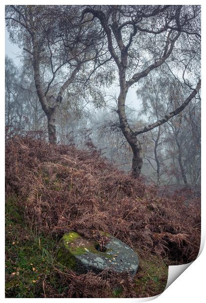 Oxhay Wood Millstone Print by Paul Andrews