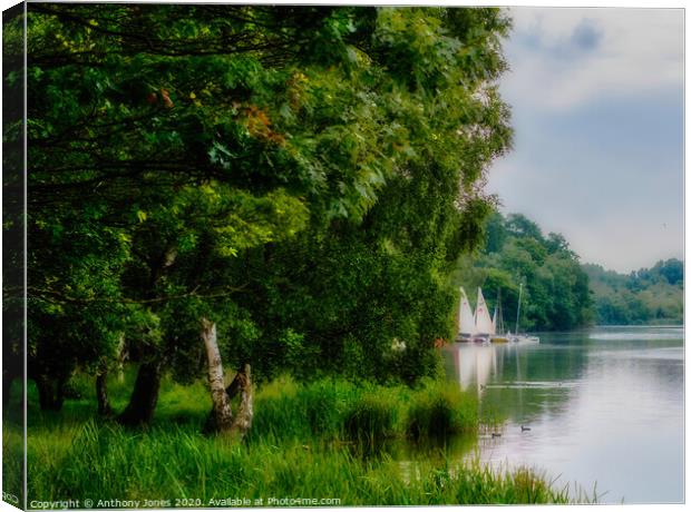 "Moored Up" Canvas Print by Anthony Jones