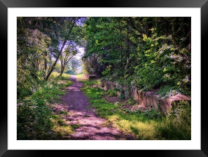 'The Copse', The Garrison, Shoeburyness, Essex, UK. Framed Mounted Print by Peter Bolton