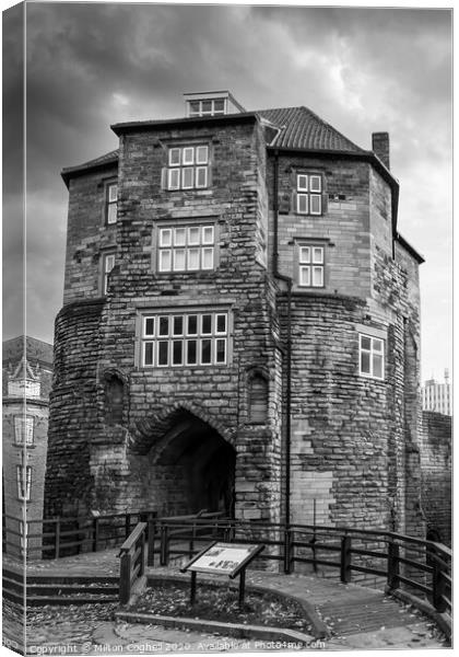 The medieval Black Gate in Newcastle upon Tyne Canvas Print by Milton Cogheil