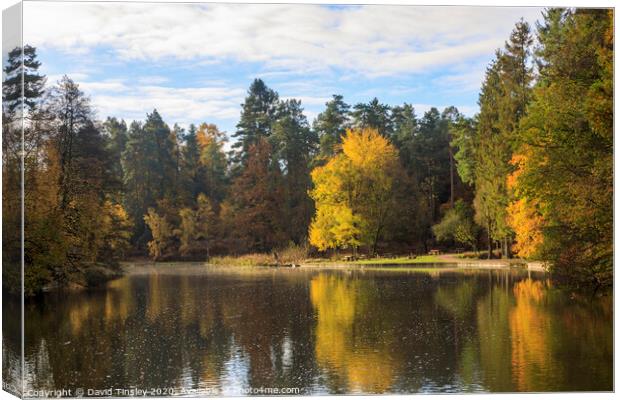 Late Autumn Reflections Canvas Print by David Tinsley