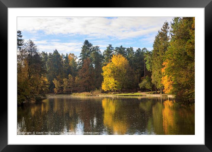 Late Autumn Reflections Framed Mounted Print by David Tinsley