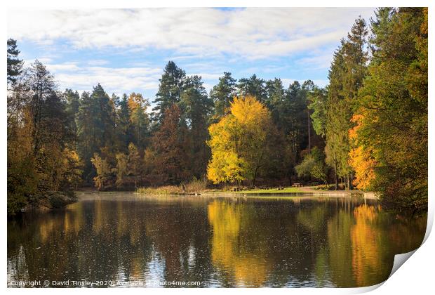 Late Autumn Reflections Print by David Tinsley