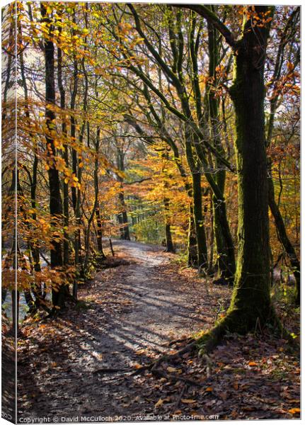 Remnants of Autumn Canvas Print by David McCulloch