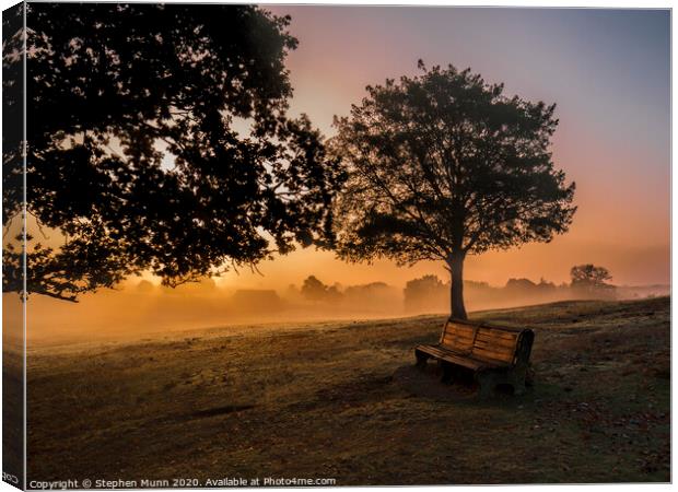 Sunrise bench, New Forest National Park Canvas Print by Stephen Munn