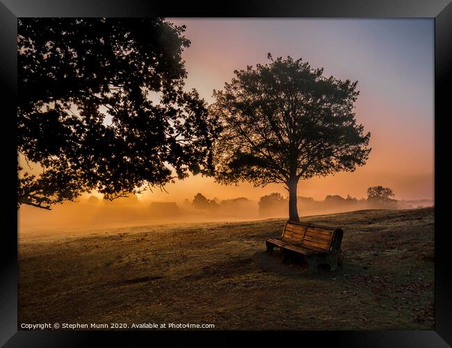 Sunrise bench, New Forest National Park Framed Print by Stephen Munn