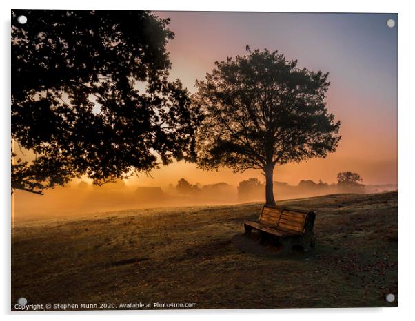 Sunrise bench, New Forest National Park Acrylic by Stephen Munn
