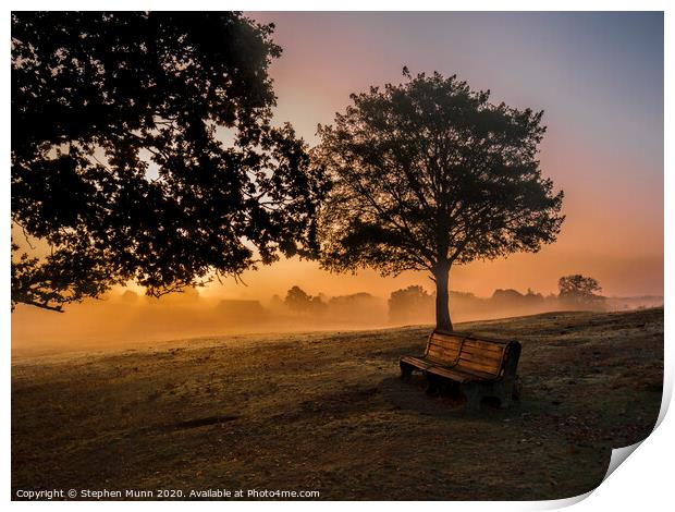 Sunrise bench, New Forest National Park Print by Stephen Munn