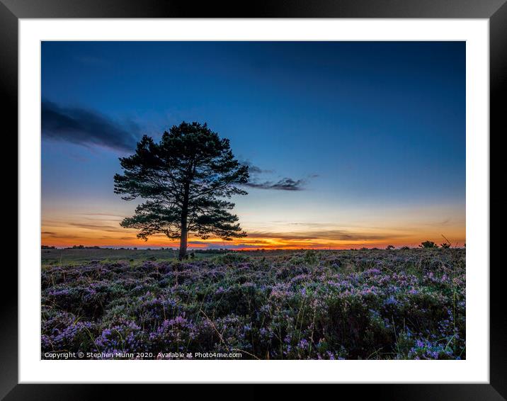 Backley plain sunset, New Forest National Park Framed Mounted Print by Stephen Munn