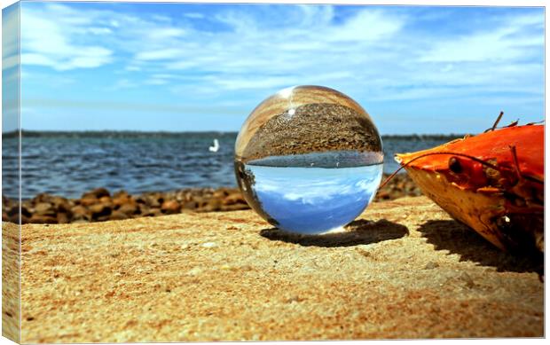 Glass orb on seashore Canvas Print by Martin Smith