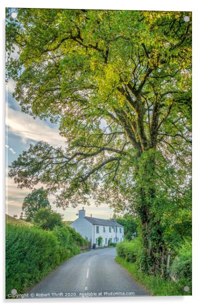 Roadside cottages at Hannakin, Hawkshead Acrylic by Robert Thrift