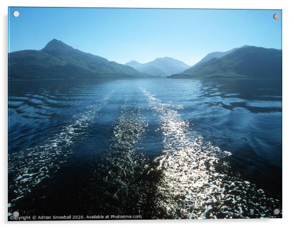 Loch Nevis  Acrylic by Adrian Snowball