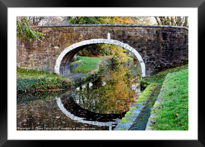 Dowley Gap -  Bridge 206 Framed Mounted Print by Trevor Camp