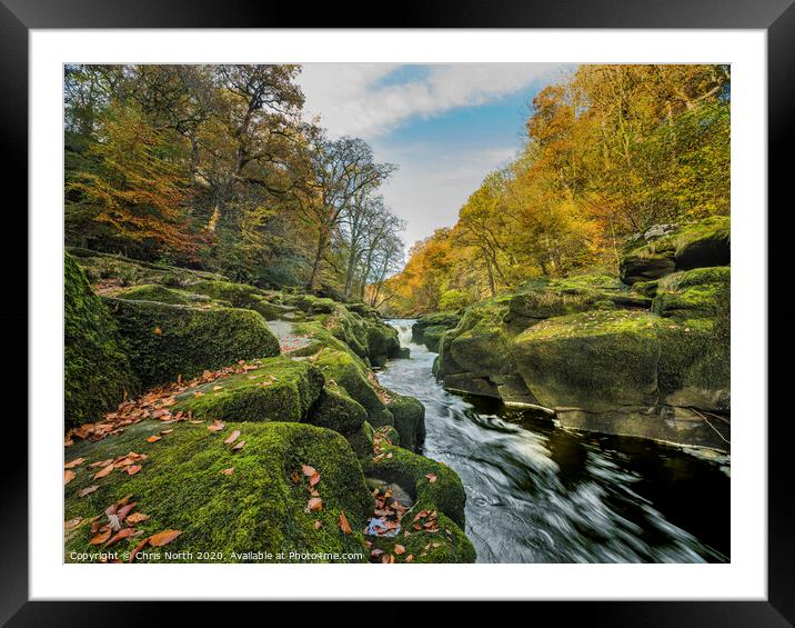 The Strid in autumn, Bolton Abbey estate. Framed Mounted Print by Chris North