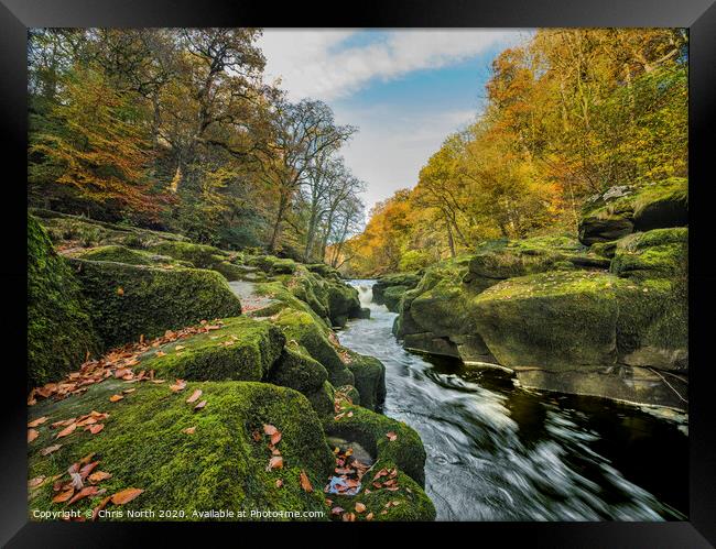 The Strid in autumn, Bolton Abbey estate. Framed Print by Chris North