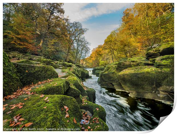 The Strid in autumn, Bolton Abbey estate. Print by Chris North