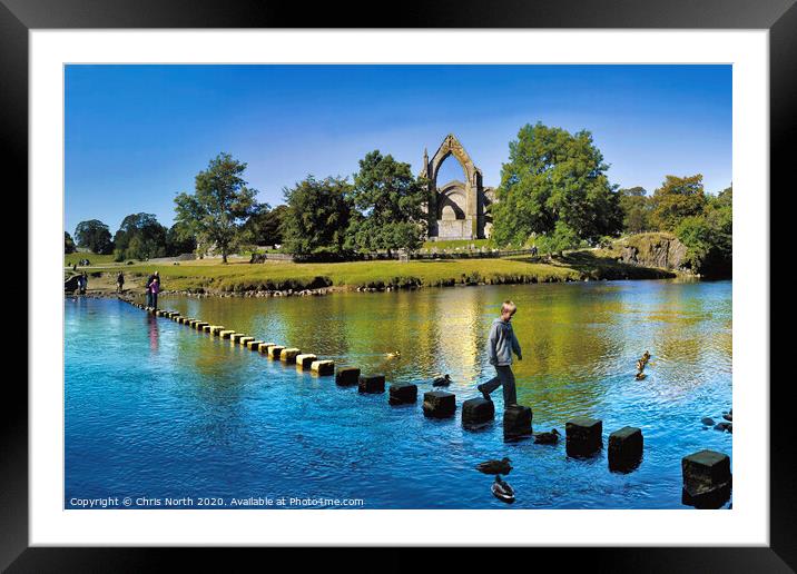 The stepping stones at Bolton Abbey.. Framed Mounted Print by Chris North