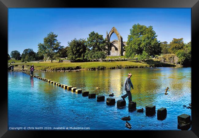 The stepping stones at Bolton Abbey.. Framed Print by Chris North