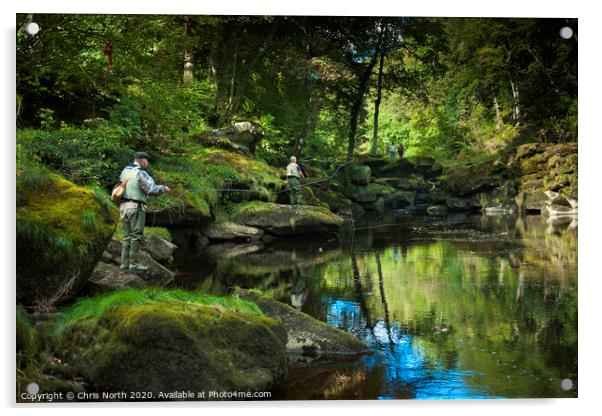 Fly fishing, Bolton Abbey woods, Yorkshire. Acrylic by Chris North
