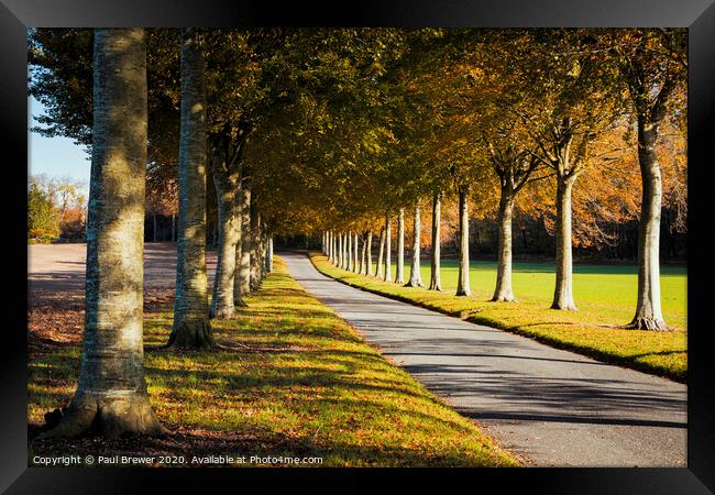 Moor Critchel Avenue Framed Print by Paul Brewer