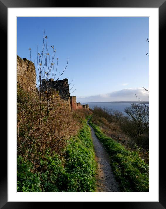 Scarborough castle fotpath Framed Mounted Print by Martin Smith