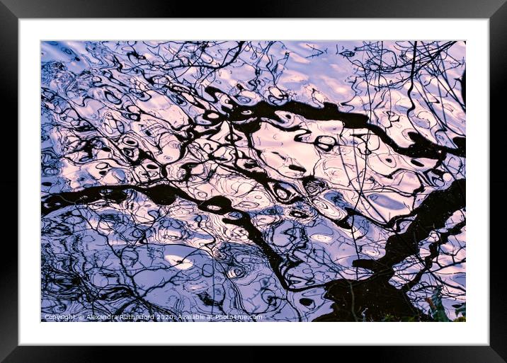 Abstract Aquatic Branch Reflection Framed Mounted Print by Alexandra Rutherford