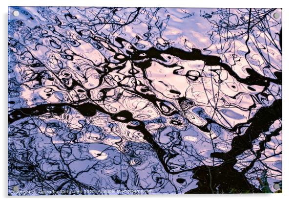 Abstract Aquatic Branch Reflection Acrylic by Alexandra Rutherford