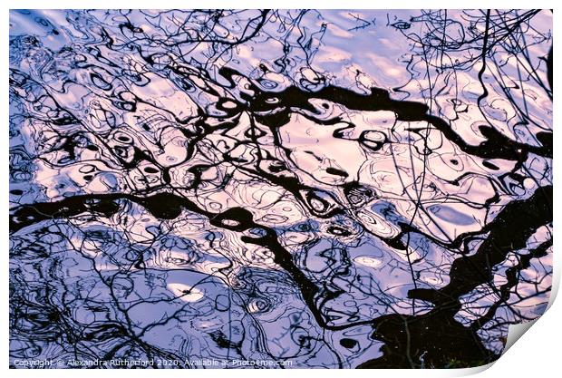 Abstract Aquatic Branch Reflection Print by Alexandra Rutherford