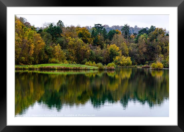 Woodland Lake Reflection Framed Mounted Print by Alexandra Rutherford