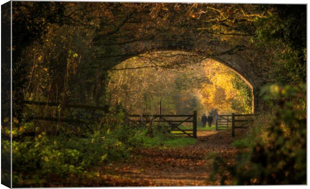 Walking The Wirral Way Canvas Print by Rob Pitt