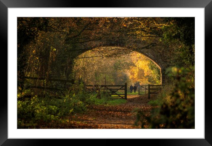 Walking The Wirral Way Framed Mounted Print by Rob Pitt