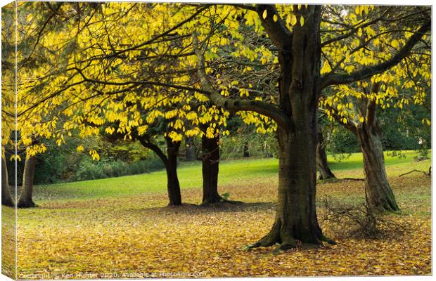 Autumn in the Park Canvas Print by Ken Hunter