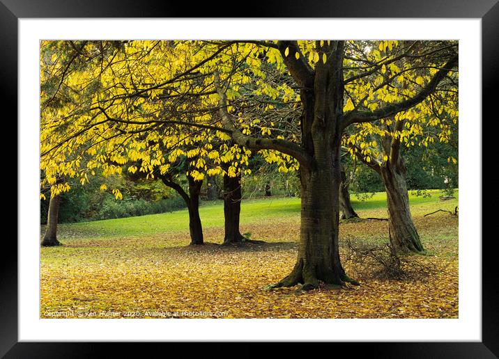 Autumn in the Park Framed Mounted Print by Ken Hunter
